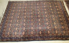 A Caucasian carpet, the centre ground with all-over repeating motifs in cinnamon, blue, green and