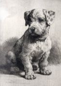 HERBERT DICKSEE (1862-1942) "Seated Sealyham puppy", black and white etching, bearing initials