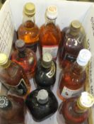 A mixed lot of various Whiskies x 10, including Grand Old Parr,