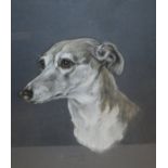 MARJORIE COX "Dawn", study of greyhound head, signed bottom right and dated 1965,