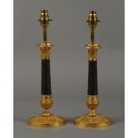 A PAIR OF 19TH CENTURY BRONZE AND GILT B