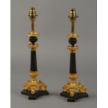 A PAIR OF 19TH CENTURY BRONZE AND GILT B