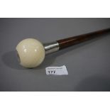 A rosewood walking cane with ivory knop