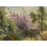 ARR DRUIE BOWETT (1924-1998), Garden landscape with lilac blossom, watercolour and charcoal, signed,