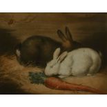 WILLIAM WARD AFTER GEORGE MORLAND, 'Rabbits', coloured mezzotint,  late 18th/early 19th century,