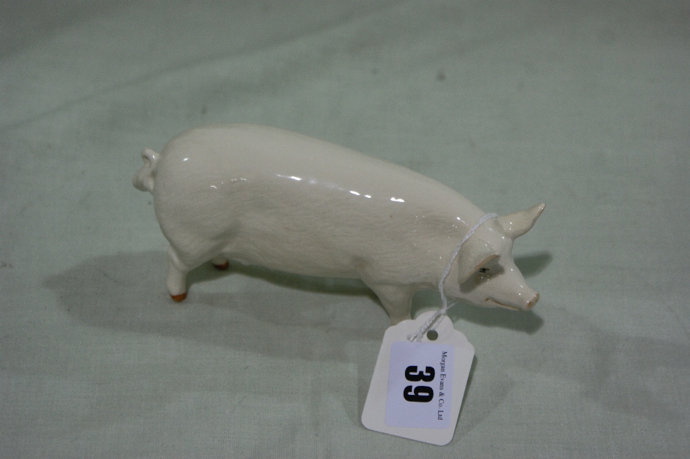 A Beswick Model Pig, Champion Wall Queen