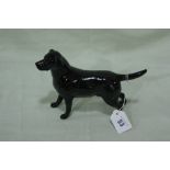 A Beswick Model Black Labrador "Solomon Of Wendover"