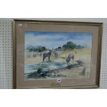 20th Century School Water Colour, View Of Springbok By A Watering Hole