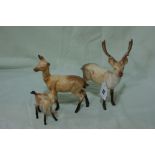 A Family Of Three Beswick Model Deer By Arthur Gredington, Including Stag Standing, Doe And Fawn (
