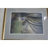 A Limited Edition Coloured Print Of A Barn Owl By Philip Snow Signed And Numbered In Pencil
