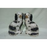 A Pair Of Staffordshire Pottery Black And White Decorated Seated Dogs