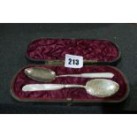 A Cased Pair Of Silver And Mother Of Pearl Handled Preserve Spoons, Birmingham 1890