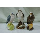 Three Royal Doulton Bird Of Prey Novelty Whisky Decanters