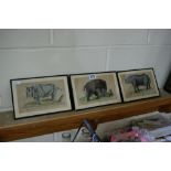 Three Separately Framed Booklet Plate Engravings Of African Animals