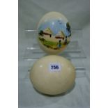 Two Vintage Ostrich Eggs
