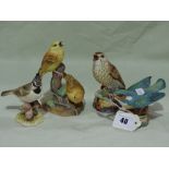 Four Royal Worcester Model Birds
