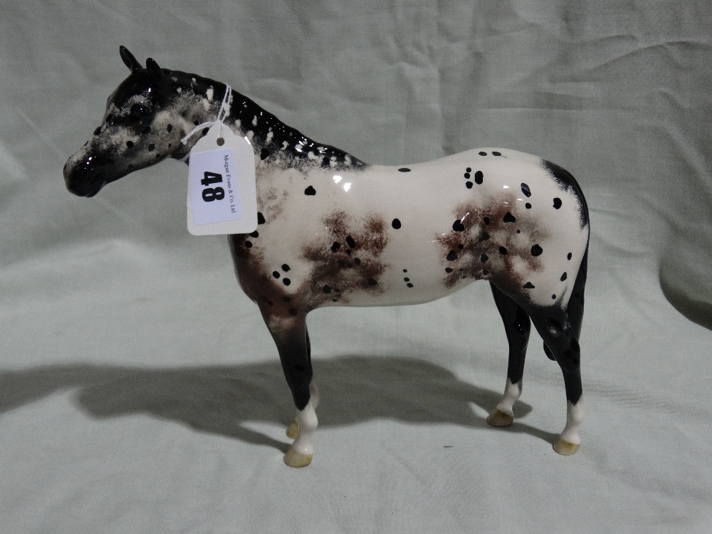A Beswick Model Appaloosa Stallion