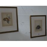 Joel Kirk, Two Water Colour Studies Of Water Vole And Dormouse, Signed