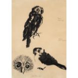 FRANK GEORGE HODGKINSON (1919-2001) Papuan Hawk Owl, Barred Owlet-Night Jar, Small Brown Owl   FRANK