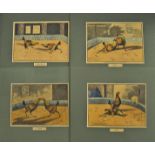 Cock Fighting - Set of 4x 19th c Cock Fighting scene lithographs from the originals by Henry Alken