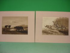 English School African animals in landscapes. A pair. Watercolour en-grisaille 7"x10". Unframed