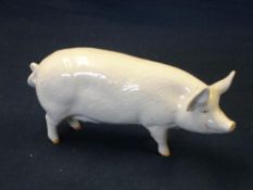 A Beswick Sow CH. Wall Queen
