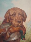 W Marsden Retriever with dead pheasant. Signed. Oil on canvas 20"x 15"