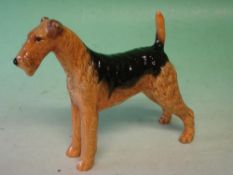 Beswick An Airedale terrier