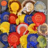 Collection of 1960s Horse Trials rosettes - to include the Daily Express national foxhunting
