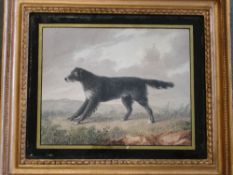 English School. A pointer in a landscape. Watercolour on paper 7 ½"x 9 ½" Gilt and verre-eglomise