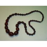 An Amber Necklace of graduated beads. 75g gross
