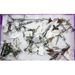 BAIT MOUNTS: (Qty) Collection of various vintage live and dead baits mounts incl. examples by