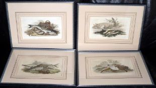 PRINTS: (4) Four early colour litho prints on velum, taken from Sporting & Fishing 1812, Lamprey &