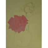 Attributed to Adolf Hitler 1889-1945 A study of roses in a vase. Unfinished drawing. Pencil and