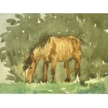 Attributed to Adolf Hitler 1889-1945 A study of a horse grazing in a field. Bears a signature and