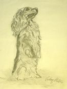 Attributed to Adolf Hitler 1889-1945 Study of a spaniel. Bears a signature. Pencil drawing on