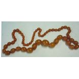An Amber Necklace Of graduated beads. 50g Condition report: All good, re-strung