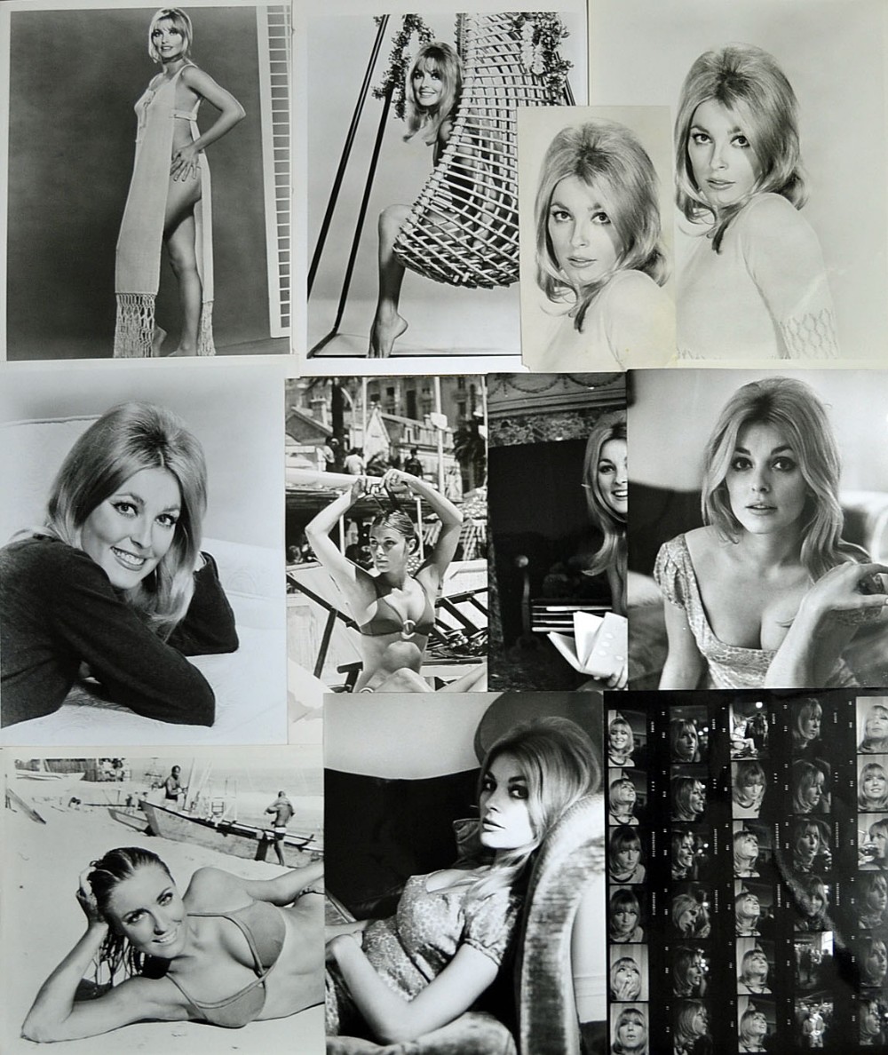 Rare Collection of Sharon Tate Original Press Release Photographs and Movie Posters 1960s onwards to - Image 2 of 9