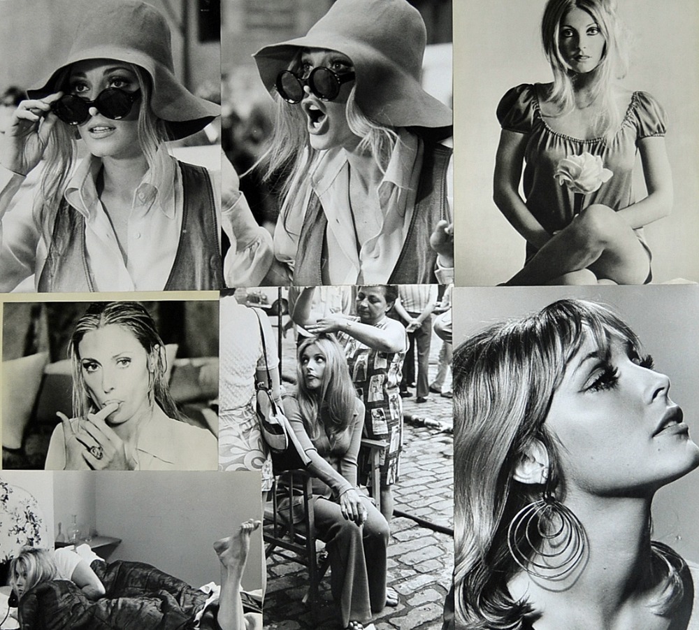 Rare Collection of Sharon Tate Original Press Release Photographs and Movie Posters 1960s onwards to - Image 4 of 9