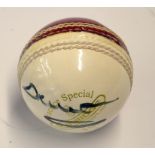 Darren Gough (England and Yorkshire County cricket player) signed cricket ball - Stuart Surridge "