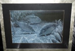 PRINT: David Miller lithograph print 2003, showing 3 carp foraging on lake bed, blue black hues,