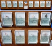 FLIES: Rare collection of authenticated historic American Flies, presented to T D Overfield by