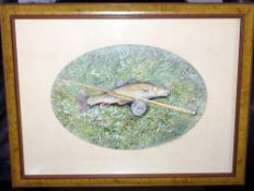 PRINT: Robin Armstrong, signed colour print of Kennet barbel with cane rod and Aerial reel, taken