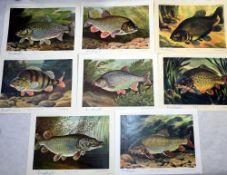 PRINTS: (8) Collection of 8 hand signed Bernard Venables colour prints, published by Angling Times