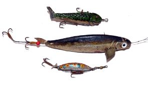LURES: (2) An early Gutta Percha hard rubber Caledonian bait, 4.5" long, curved body, twin white