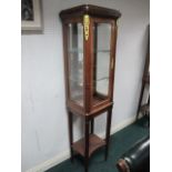 A PAIR OF CONTINENTAL MAHOGANY AND GILT BRASS MOUNTED DISPLAY CABINETS each with a moulded cornice