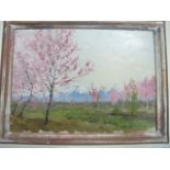 20TH CENTURY
Cherry Blossoms 
Oil on Board
40cm x 33cm