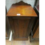 AN EDWARDIAN MAHOGANY BEDSIDE PEDESTAL the rectangular top above a panelled door on platform base