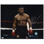 Mike Tyson Signed Photo Poster -- 20'' x 16'' -- With JSA LOA Giant color photo poster, signed ''