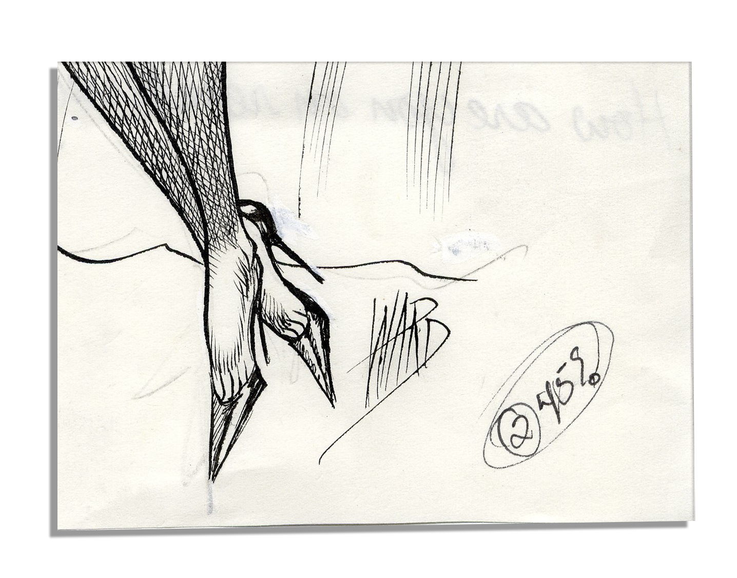 Rare signed comic illustration by Bill Ward, the artist behind cartoon siren Torchy. Single- - Image 2 of 3